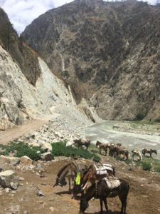 A road under construction to connect Rukum and Dolpa